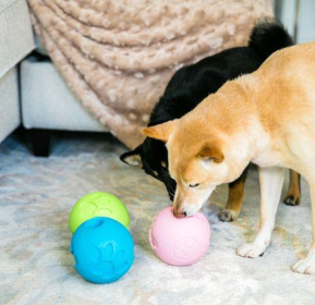 Paw Me! Treat Ball Dispenser