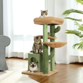 Cat Climbing Frame