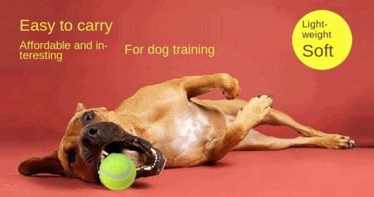 3pcs Interactive Dog Toy Set - Micro Elastic Tennis Balls for Training