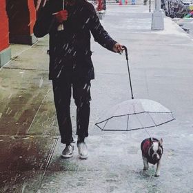 Pet Umbrella with Leash – Rainproof, Snowproof, and Windproof for Dogs