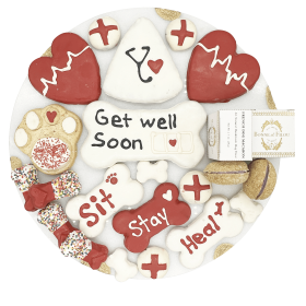 Get Well Soon Dog Treats Gift Box – Handcrafted Human-Grade Treats (21 Pieces)