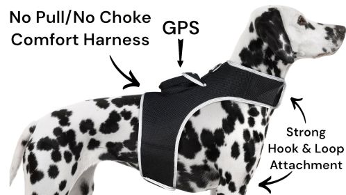 Reputable Water Resilient GPS Tag for Dogs Rechargeable Collar Mount GSM Tracker (Size: M)