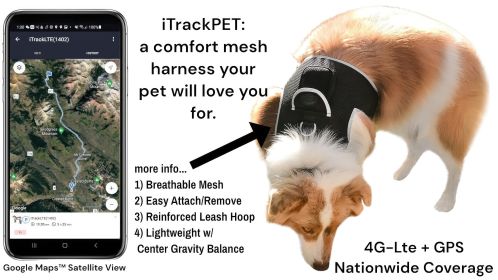 GPS Dog Tag Collar XXL – Realtime Rechargeable Tracking Harness with Mobility Sensor