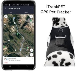 Waterproof GPS Pet Tracker with Rechargeable Collar Harness – Large