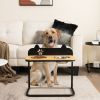 Dog Bowl Stand with 2 Stainless Steel Food & Water Bowls