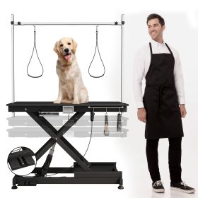 Professional Electric Pet Grooming Table (110V/220V)