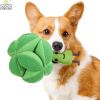 Snuffle Broccoli Dog Puzzle Toy - Interactive IQ Feeding Toy