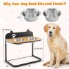 Dog Bowl Stand with 2 Stainless Steel Food & Water Bowls