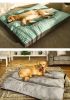 Removable & Washable Dog Mat - Soft Bed for Dogs Up to 33 lbs