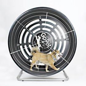 GoPet TreadWheel for Small Dogs - Indoor/Outdoor Exercise Wheel