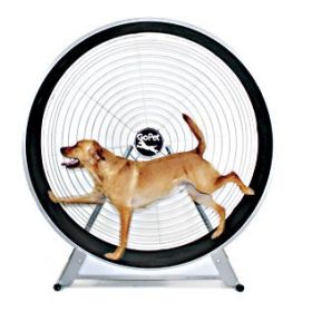 GoPet TreadWheel for Large Dogs - Indoor/Outdoor Dog-Powered Exercise Wheel