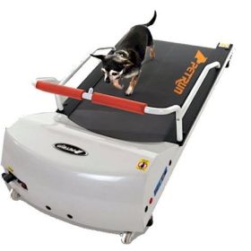 PetRun PR700 Dog Treadmill - For Dogs Up to 44 Pounds, Quiet & Foldable