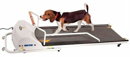 PetRun PR720F Dog Treadmill - For Dogs Up to 132 Pounds, Quiet & Foldable