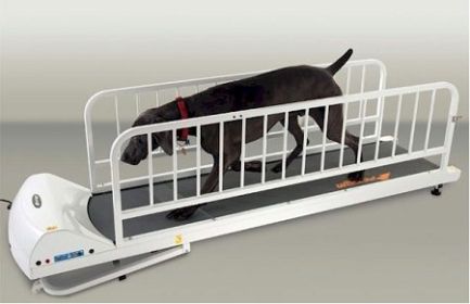 PetRun PR725 Dog Treadmill - For Large Dogs Up to 175 Pounds, Adjustable Incline