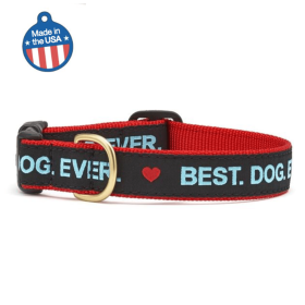 Best Dog Ever Collar or Leash (Sie: Medium, Color: Best Dog Ever)