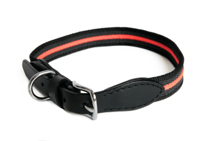 Alvalley Reflective Anti-Slip Dog Collar with Buckle (20 in x 1 in) (Sie: 20 in x 1 in)