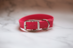 Biothane Buckle Dog Collar