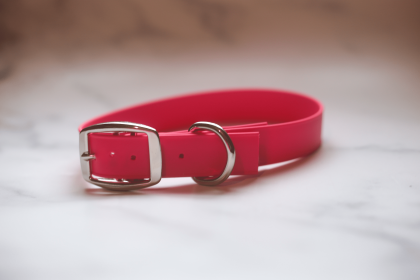 Biothane Buckle Dog Collar (Sie: Medium 13-15 inches, Color: Red)