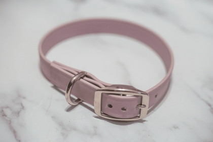 Biothane Buckle Dog Collar (Sie: Large 15-17 inches, Color: Pink)