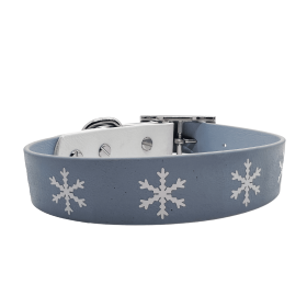 Biothane Buckle Dog Collar (Sie: XSmall 10-12 inches, Color: Snowflake)