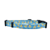 Cutie Ties Fun Design Dog Collar