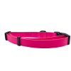 Cutie Ties Fun Design Dog Collar