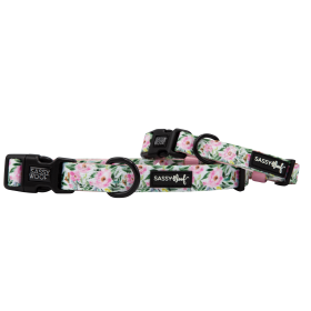 Sassy Woof Dog Collars (Sie: Small, Color: Magnolia)