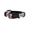 Sassy Woof Dog Collars