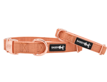 Rose Gold Accent Dog Collar (Sie: Large, Color: Orange)