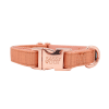 Rose Gold Accent Dog Collar