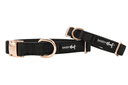 Rose Gold Accent Dog Collar (Sie: Large, Color: Black)