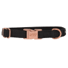 Rose Gold Accent Dog Collar