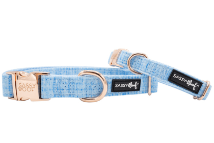 Rose Gold Accent Dog Collar (Sie: Large, Color: Blue)