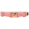 Rose Gold Accent Dog Collar