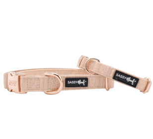 Rose Gold Accent Dog Collar (Sie: Large, Color: Tan)