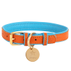 Adjustable Dog Collar