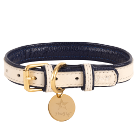 Adjustable Dog Collar (Sie: Small, Color: Hot Marine)