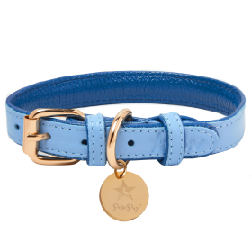 Adjustable Dog Collar (Sie: Small, Color: Ocean Vibes)