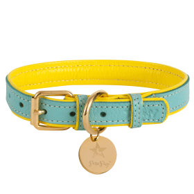 Adjustable Dog Collar (Sie: Small, Color: Sunshine Babe)