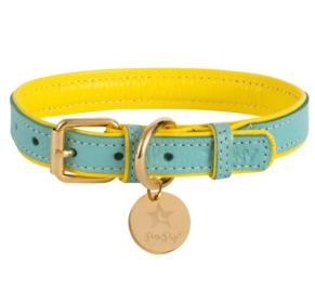 Adjustable Dog Collar (Sie: Medium, Color: Sunshine Babe)