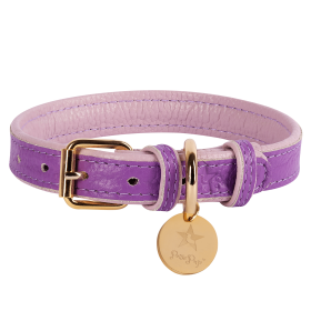 Adjustable Dog Collar (Sie: Small, Color: Lavish Lavender)