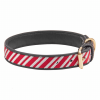 Halo Christmas Candy Cane Dog Collar