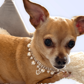 Rhinestone & Pearl Crown Necklace (Sie: 10")