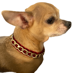 Gold Chain Velvet Collar (Sie: X Small, Color: Burgundy)