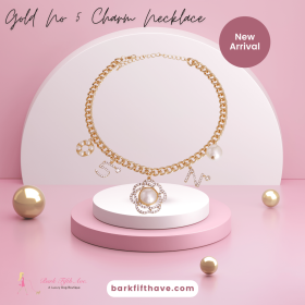 Gold No 5 Charm Necklace (Sie: Medium)