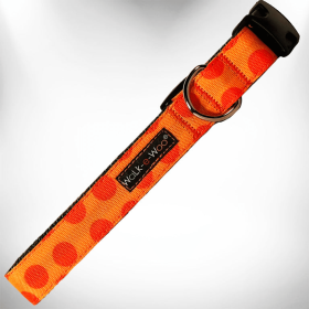 Polka Dot Dog - Monotone Collars (Sie: L 1" width fits 14-25" neck, Color: Orange)