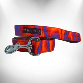 Ombre Dog Leads (Sie: REGULAR Lead 1" width- 5' length)