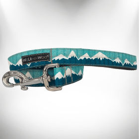 Mountain Dog Leads (Sie: REGULAR Lead 1" width- 5' length, Color: Wintergreen Snowcap Mtn)