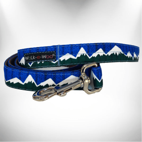 Mountain Dog Leads (Sie: REGULAR Lead 1" width- 5' length, Color: Blue/Green Snowcap Mtn)