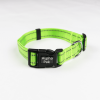 Appalachian Kiwi Green Dog Collar